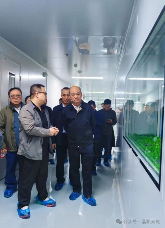 晶帆光电迎 “重量级” 调研！市政府参事团深入一线，为高质量发展划重点5.jpg